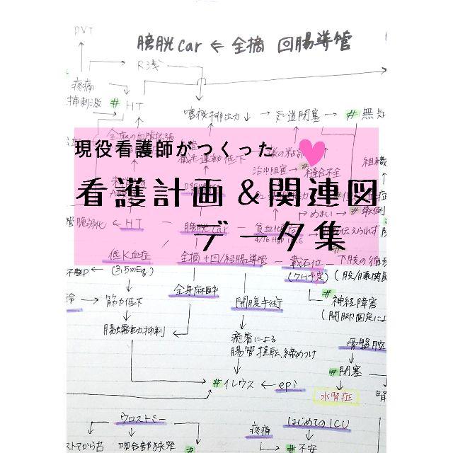 看護計画　関連図　看護記録　看護実習　アセスメント エンタメ/ホビーの本(健康/医学)の商品写真