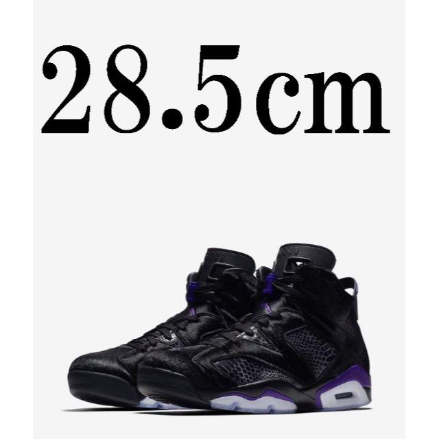 28.5cm　NIKE AIR JORDAN 6 NRG AJ6