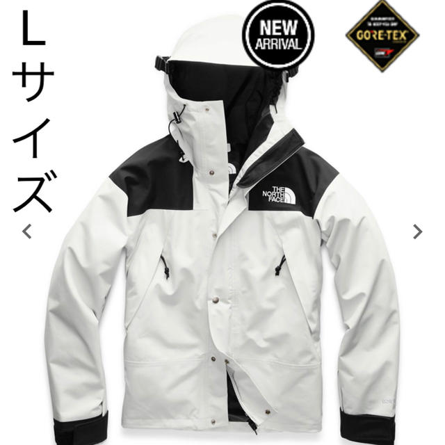 THE NORTH FACE(ザノースフェイス)のThe North Face 1990 MOUNTAIN JACKET Gore メンズのジャケット/アウター(マウンテンパーカー)の商品写真