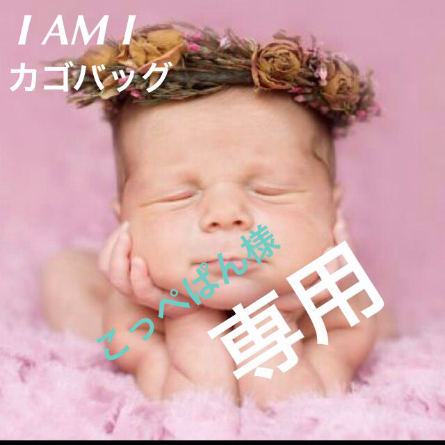 I am I(アイアムアイ)のIAMI カゴバッグ レディースのバッグ(ハンドバッグ)の商品写真