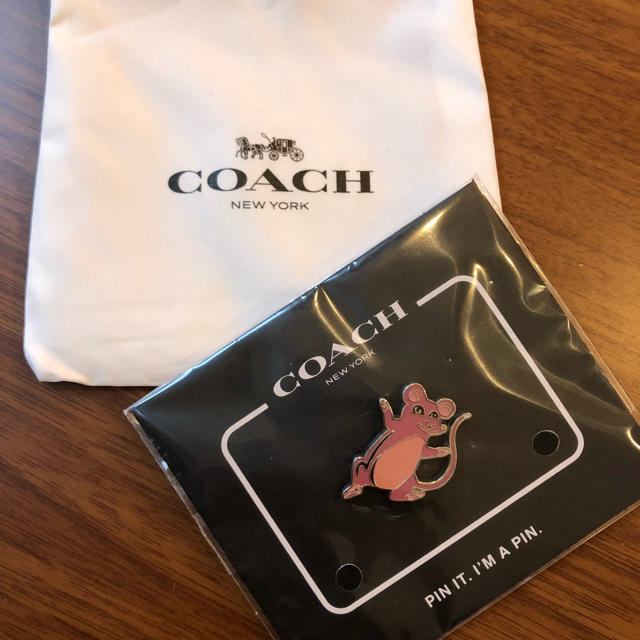 COACH(コーチ)のCoach ピンバッジ 新品未使用 エンタメ/ホビーのアニメグッズ(バッジ/ピンバッジ)の商品写真