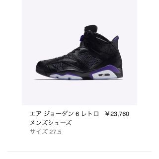 ナイキ(NIKE)のJordan 6 NPG 27.5cm ジョーダン(スニーカー)