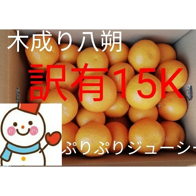 ⑦木成り八朔15㌔❤️訳有混合❤️和歌山自家栽培 食品/飲料/酒の食品(フルーツ)の商品写真