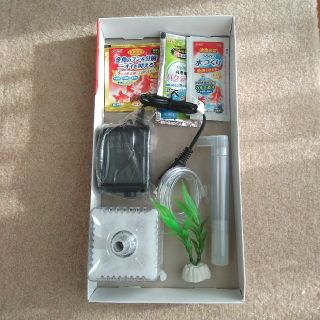 エアポンプセット　新品(アクアリウム)