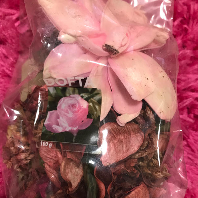ローズ♡薔薇♡ポプラ ハンドメイドのフラワー/ガーデン(ドライフラワー)の商品写真