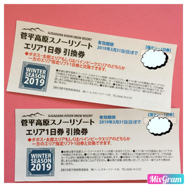 菅平高原スノーリゾートリフト券1日引換券2枚 有効期限 2019年3月31日