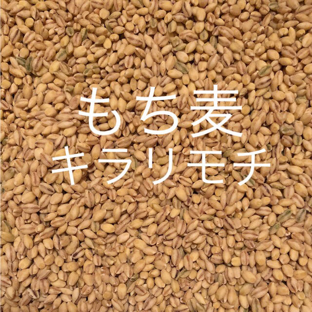 おばいく様専用❗️無農薬もち麦 キラリモチ ‼️950g‼️ 食品/飲料/酒の食品(米/穀物)の商品写真