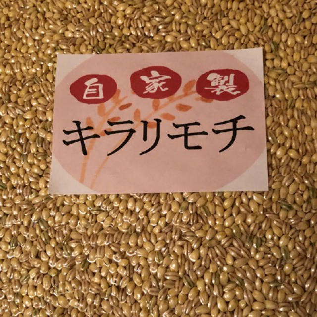 おばいく様専用❗️無農薬もち麦 キラリモチ ‼️950g‼️ 食品/飲料/酒の食品(米/穀物)の商品写真