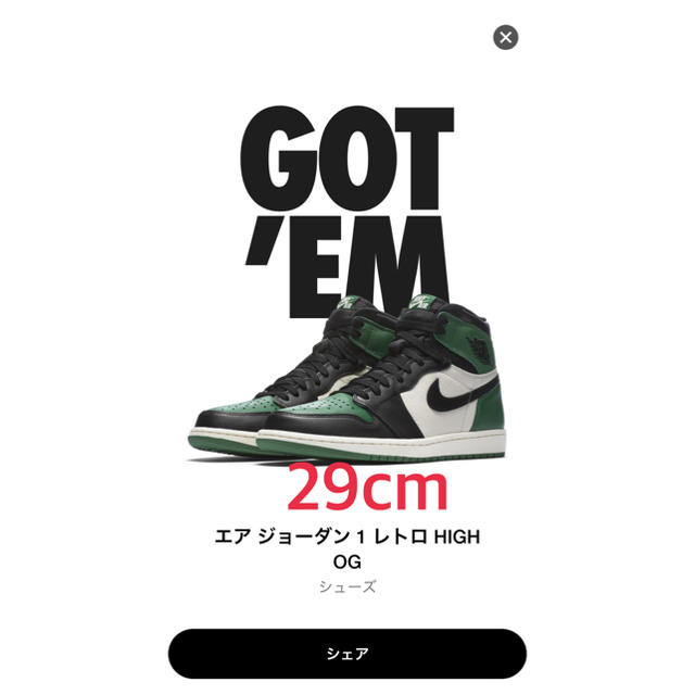 NIKE AIR JORDAN 1 PINE GREEN 29cm