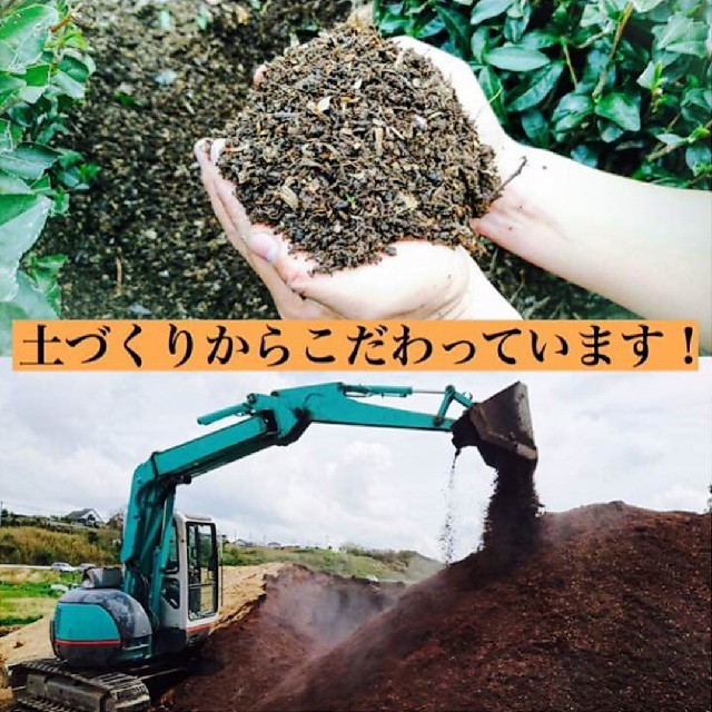 くき茶　茎茶(静岡産深蒸し茶)　本年度の上質な一番茶のみ使用 食品/飲料/酒の飲料(茶)の商品写真