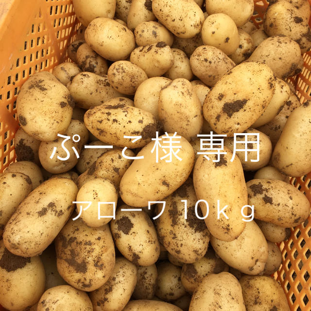 ぷーこ様 専用 食品/飲料/酒の食品(野菜)の商品写真