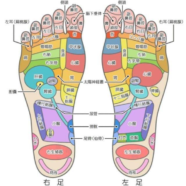 足つぼふみふみ 青竹踏み たけしの家庭の医学で紹介 美肌 頻尿 ダイエットの通販 By ラブかっちゃんプロフ必ず読んでね ラクマ