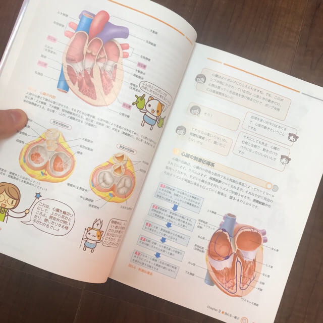 解剖生理をおもしろく学ぶ 看護師 エンタメ/ホビーの本(健康/医学)の商品写真