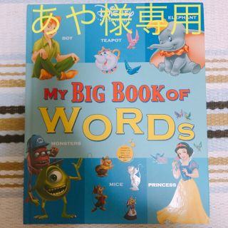 ディズニー(Disney)のMY BIG BOOK OF WORDS  ディズニー英語システム DWE(洋書)