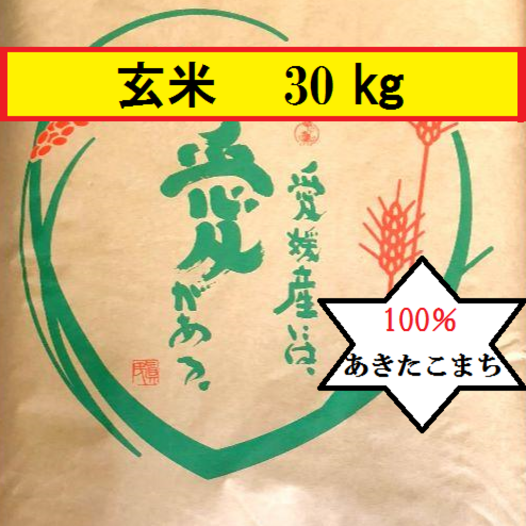 🍀お米　令和5年　愛媛県産あきたこまち 玄米　30kg 食品/飲料/酒の食品(米/穀物)の商品写真