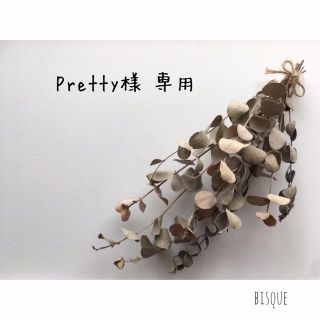 Pretty様 専用(その他)
