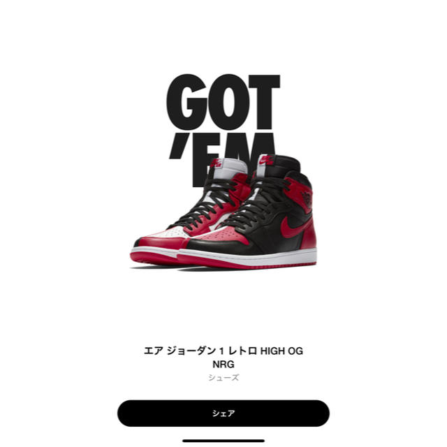 靴/シューズAIR JORDAN1 HOMAGE TO HOME 25.5cm