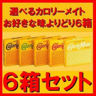 オオツカセイヤク(大塚製薬)のカロリーメイト20g×4個入６箱セット　５種類から(菓子/デザート)