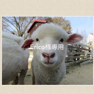 ナチュラルビューティーベーシック(NATURAL BEAUTY BASIC)のErico様専用(ロングコート)