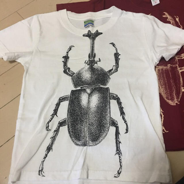 カブトムシ  クワガタ  Tシャツ セット キッズ/ベビー/マタニティのキッズ服男の子用(90cm~)(Tシャツ/カットソー)の商品写真