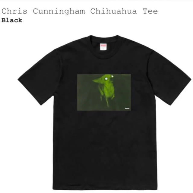 Tシャツ/カットソー(半袖/袖なし)supreme cunningham chihuahua tee M