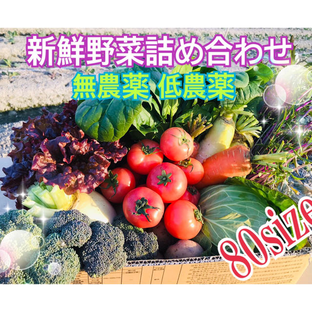 火曜発送！無農薬 低農薬 新鮮野菜 野菜詰め合わせ 食品/飲料/酒の食品(野菜)の商品写真