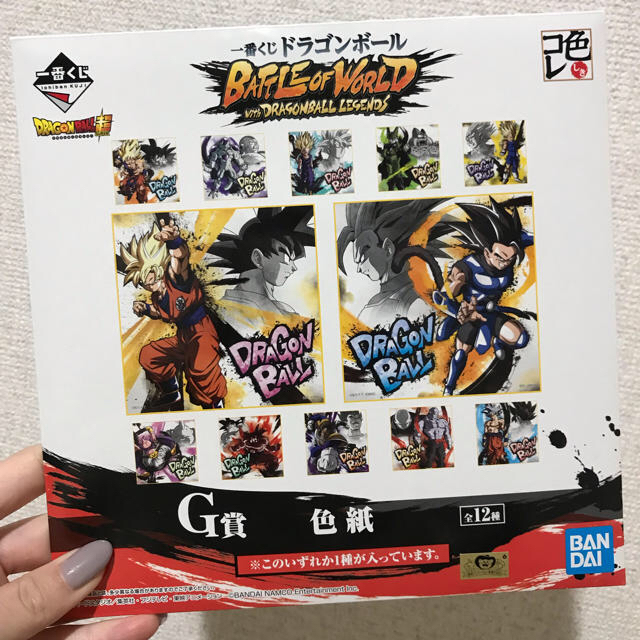 ドラゴンボール(ドラゴンボール)のドラゴンボール 色紙 エンタメ/ホビーのコレクション(印刷物)の商品写真