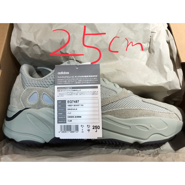 YEEZY 700