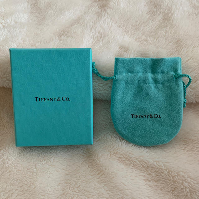 Tiffany & Co.(ティファニー)のショップ袋 レディースのバッグ(ショップ袋)の商品写真