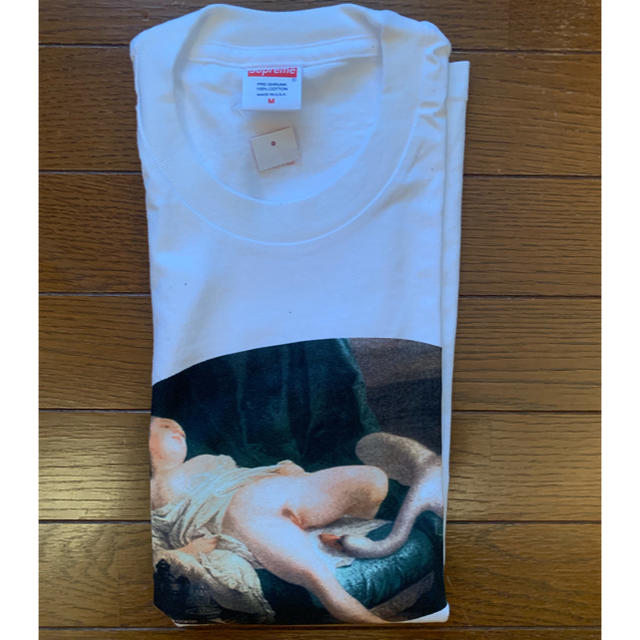 Supreme(シュプリーム)のLeda And The Swan Tee メンズのトップス(Tシャツ/カットソー(半袖/袖なし))の商品写真