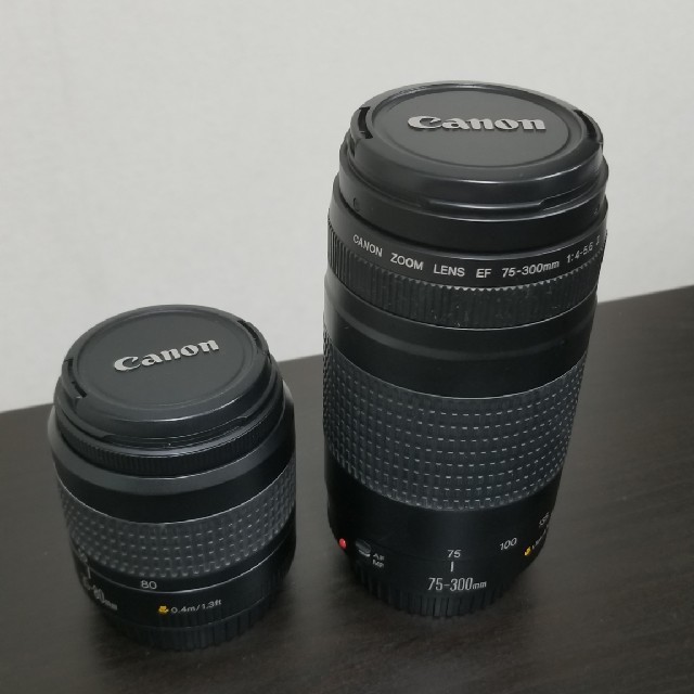 Canon ZOOM LENS EF 75-300mm