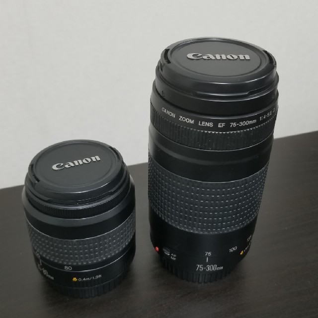 Canon(キヤノン)のCanon ZOOM LENS EF 75-300mm スマホ/家電/カメラのカメラ(レンズ(ズーム))の商品写真