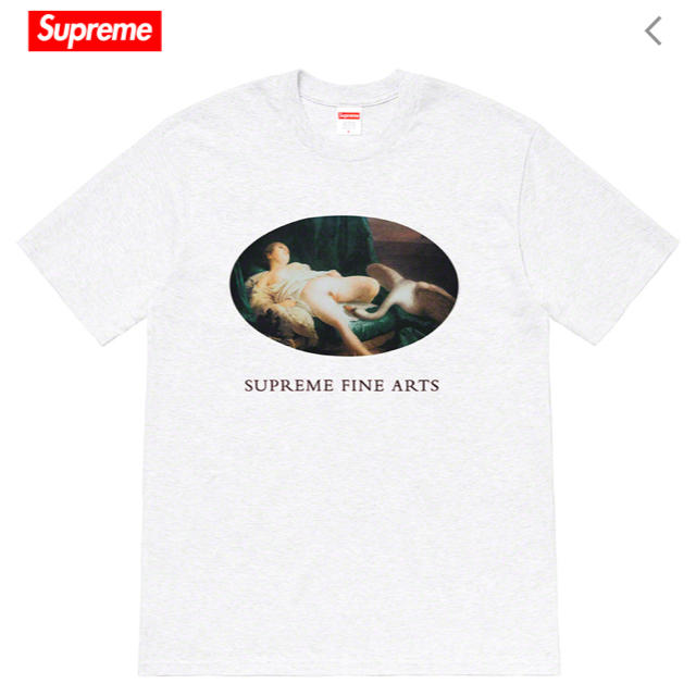 Supreme Swan Tee 白 Mホワイトサイズ