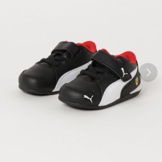 プーマ(PUMA)のPUMA  SF ドリフトキャット 7V  INF(KIDS)(スニーカー)