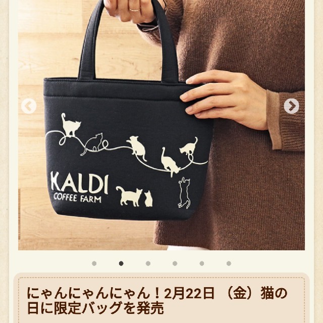 KALDI(カルディ)のカルディ　猫の日バック　トレー　カレンダー レディースのバッグ(トートバッグ)の商品写真