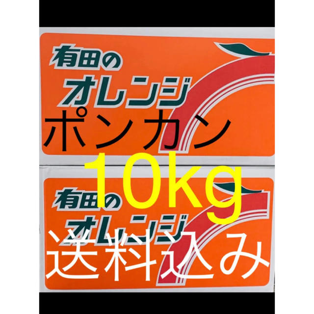 和歌山県 傷あり訳あり甘〜いポンカン約10kg 食品/飲料/酒の食品(フルーツ)の商品写真