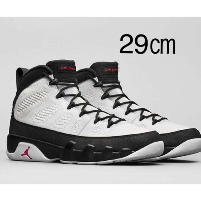 NIKE(ナイキ)のAIR JORDAN 9 スペースジャム 29㎝ メンズの靴/シューズ(スニーカー)の商品写真