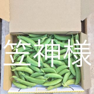 鹿児島産スナップエンドウ500g^_^(野菜)