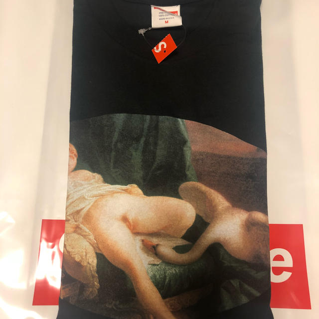 Supreme(シュプリーム)のSupreme leda and the swan tee メンズのトップス(Tシャツ/カットソー(半袖/袖なし))の商品写真