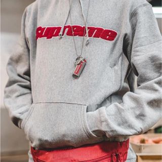 シュプリーム(Supreme)のChenille Hooded Sweatshirt グレー(パーカー)