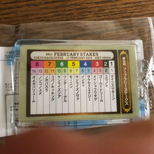 フェブラリーステークス馬券ホルダー スポーツ/アウトドアのスポーツ/アウトドア その他(その他)の商品写真