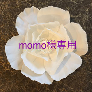 momo様専用 オーダーページ(オーダーメイド)