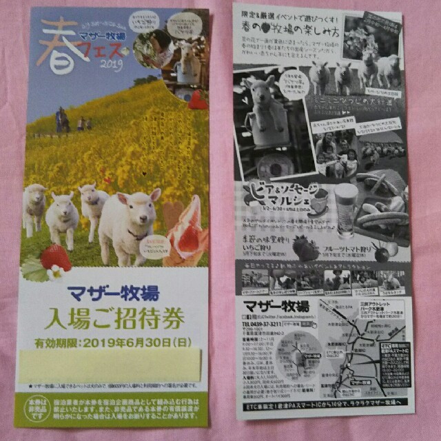 マザー牧場の入場ご招待券 5枚 2019年6月30日(日)まで チケットの施設利用券(遊園地/テーマパーク)の商品写真