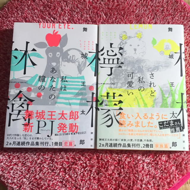 講談社(コウダンシャ)の舞城王太郎 二冊セット エンタメ/ホビーの本(文学/小説)の商品写真