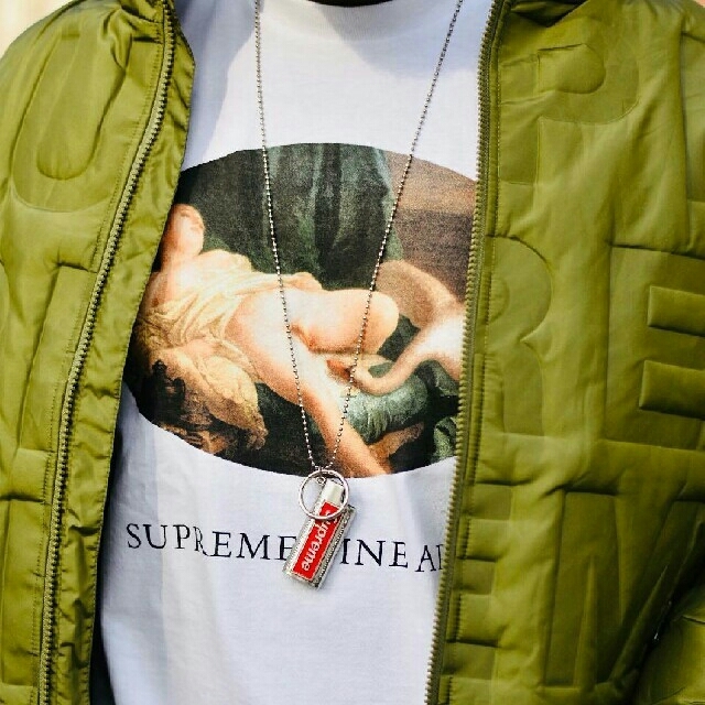 Supreme(シュプリーム)の【M White】19ss Leda And The Swan Tee メンズのトップス(Tシャツ/カットソー(半袖/袖なし))の商品写真