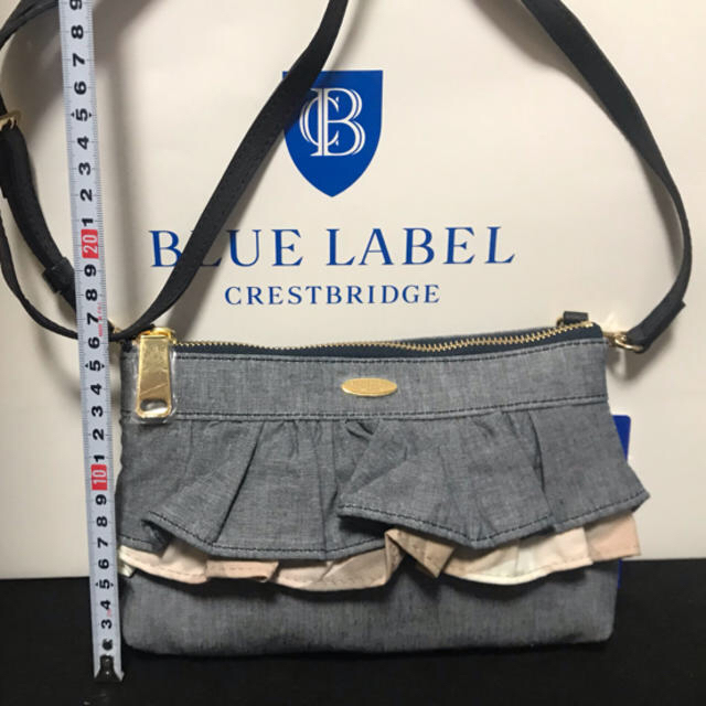 BURBERRY BLUE LABEL(バーバリーブルーレーベル)のブルーレーベルクレストブリッジ  ショルダーバッグ・ポーチ レディースのバッグ(ショルダーバッグ)の商品写真