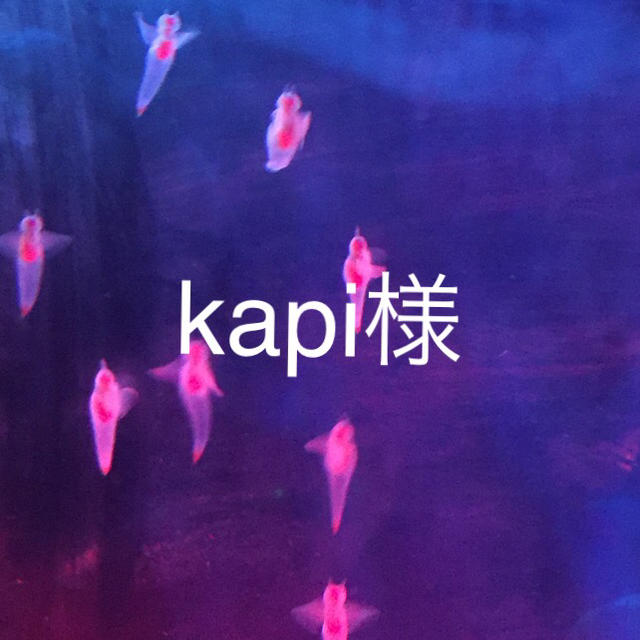 kapi様専用】の通販 by ゆーきち☻｜ラクマ