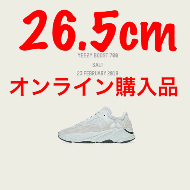 YEEZY BOOST 700 ソルト  サイズ26.5