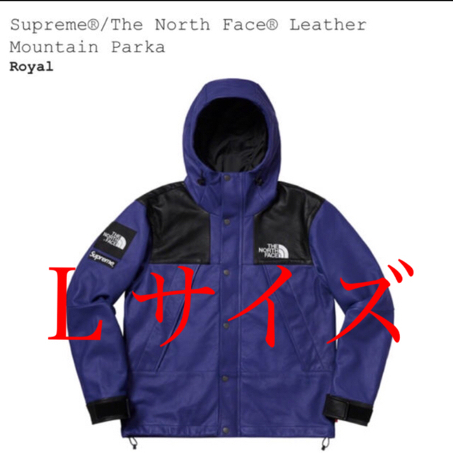 Supreme leather Mountain Jacket