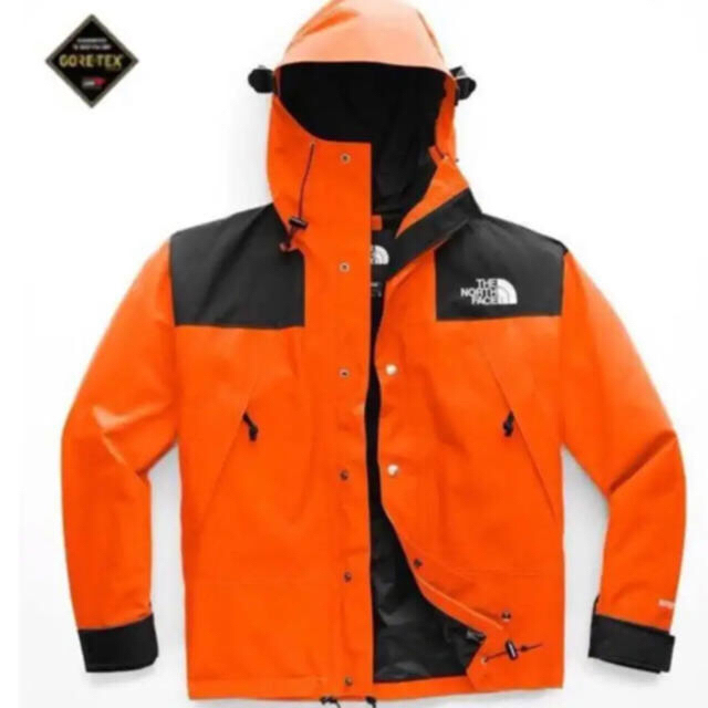 THE NORTH FACE(ザノースフェイス)の海外限定 the north face 1990 mountain jkt メンズのジャケット/アウター(マウンテンパーカー)の商品写真